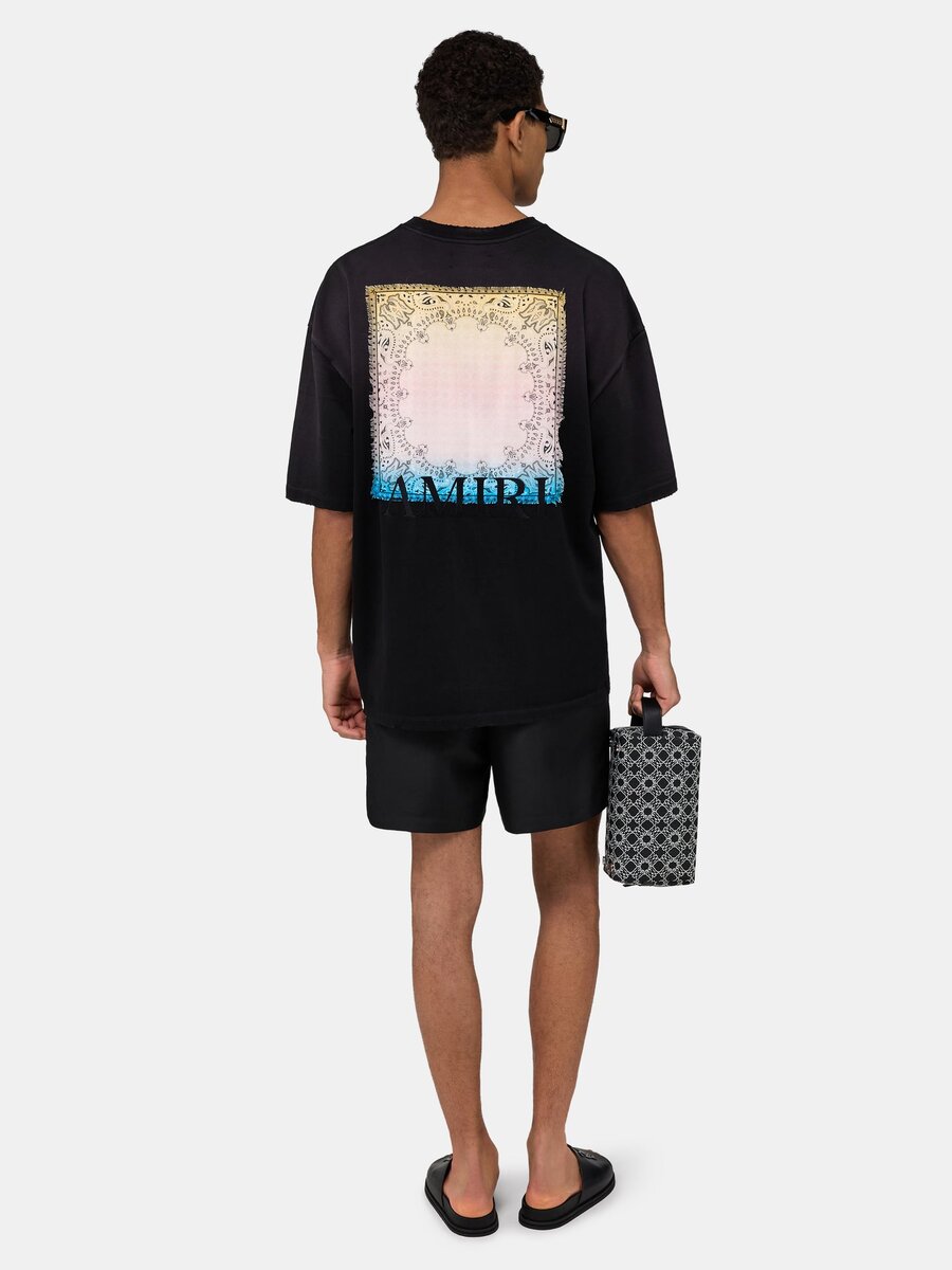 Amiri PATCH BADSHORTS